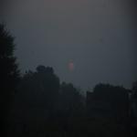 Vraj-Yatra-2014- (1527)